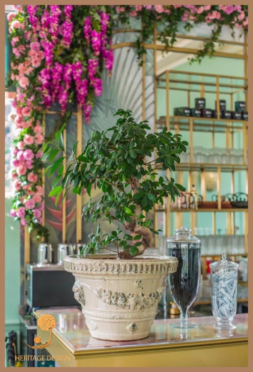 CAFE SANDALYELERİ - CAFE PROJELERİ 2022 CAFE SANDALYELERİ - CAFE PROJELERİ 2022